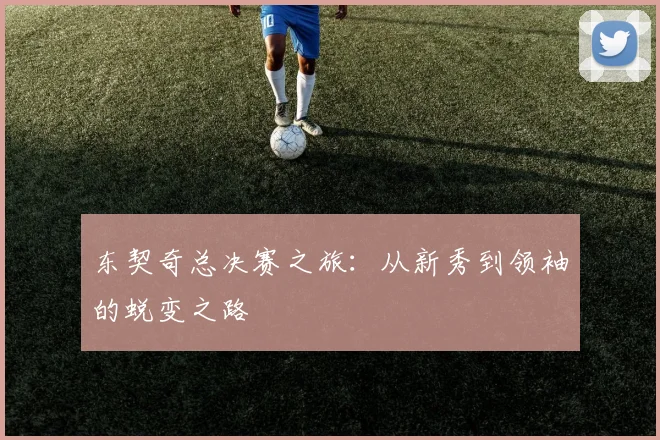 东契奇总决赛之旅:从新秀到领袖的蜕变之路